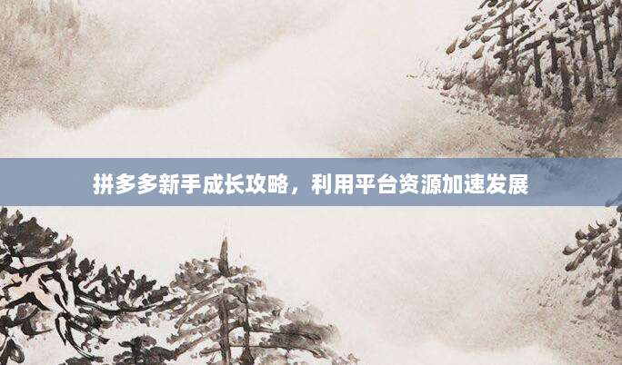 拼多多新手成长攻略，利用平台资源加速发展
