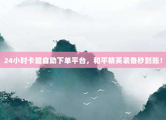 24小时卡盟自助下单平台，和平精英装备秒到账！