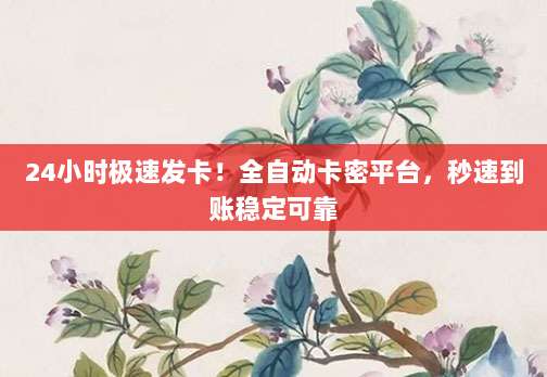 24小时极速发卡！全自动卡密平台，秒速到账稳定可靠