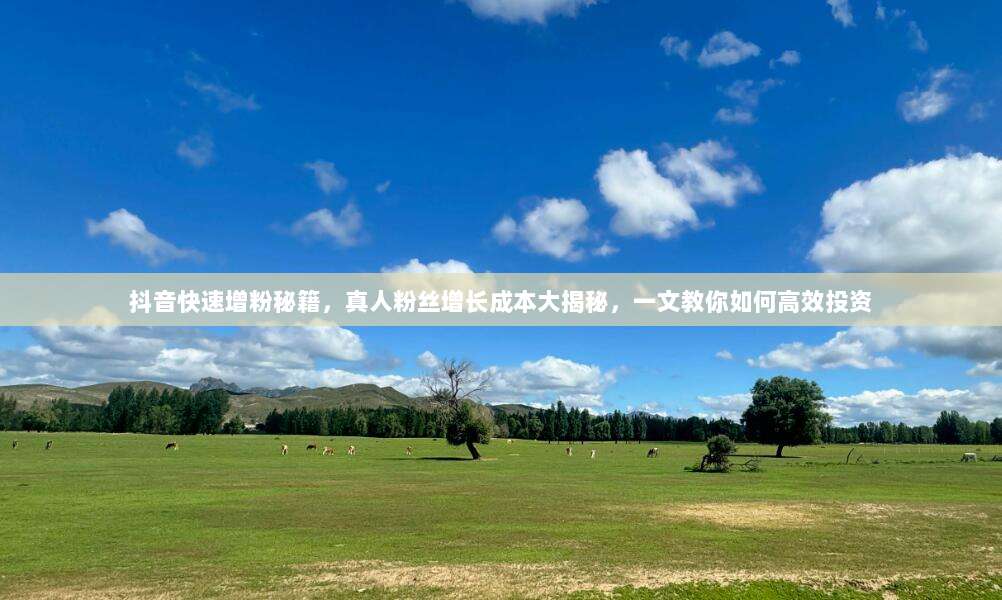 抖音快速增粉秘籍,真人粉丝增长成本大揭秘,一文教你如何高效投资