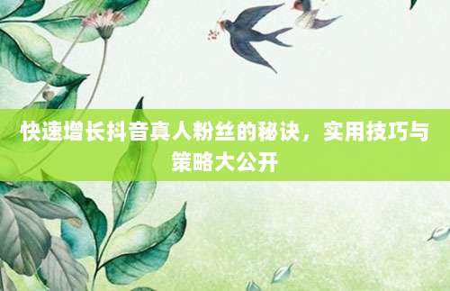 快速增长抖音真人粉丝的秘诀,实用技巧与策略大公开