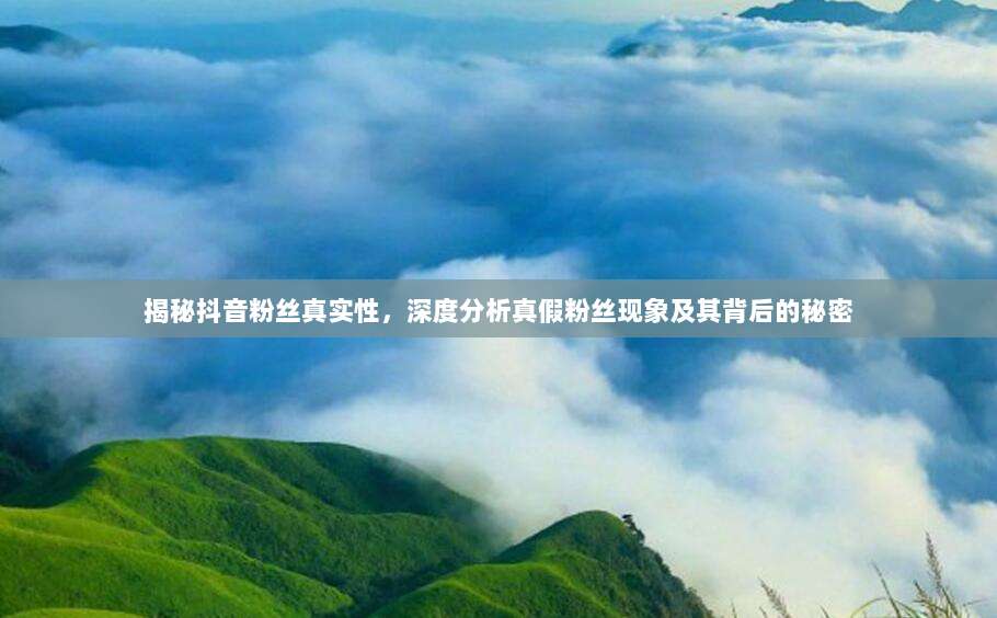揭秘抖音粉丝真实性,深度分析真假粉丝现象及其背后的秘密