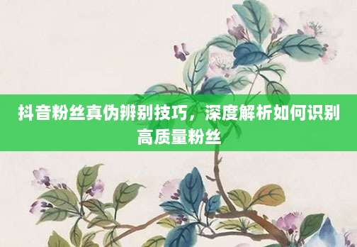 抖音粉丝真伪辨别技巧,深度解析如何识别高质量粉丝