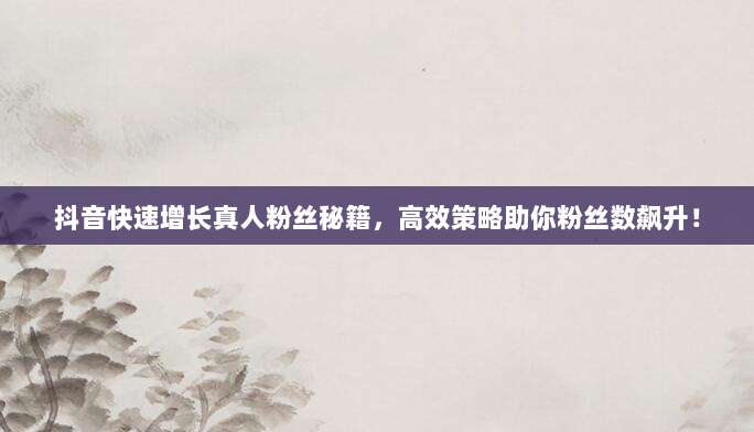 抖音快速增长真人粉丝秘籍,高效策略助你粉丝数飙升!