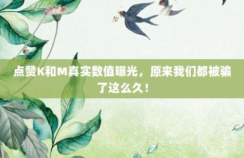 点赞K和M真实数值曝光,原来我们都被骗了这么久!