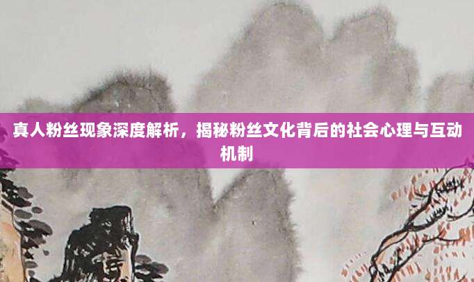 真人粉丝现象深度解析，揭秘粉丝文化背后的社会心理与互动机制