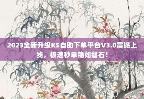 2023全新升级KS自助下单平台V3.0震撼上线,极速秒单稳如磐石!