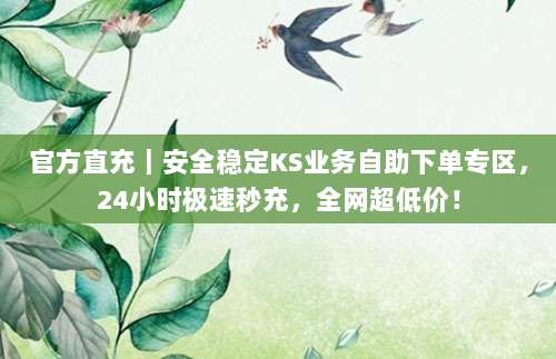 官方直充|安全稳定KS业务自助下单专区,24小时极速秒充,全网超低价!