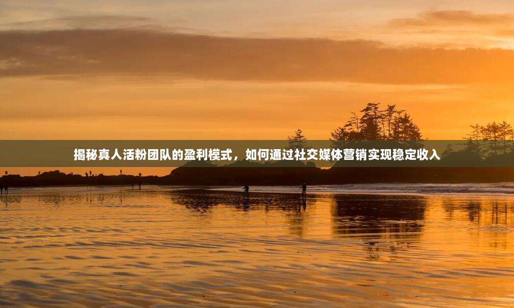 揭秘真人活粉团队的盈利模式,如何通过社交媒体营销实现稳定收入