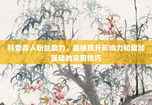 抖音真人粉丝助力,揭秘提升影响力和增加互动的实用技巧