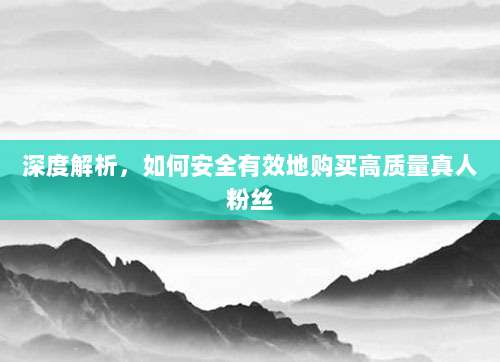 深度解析,如何安全有效地购买高质量真人粉丝