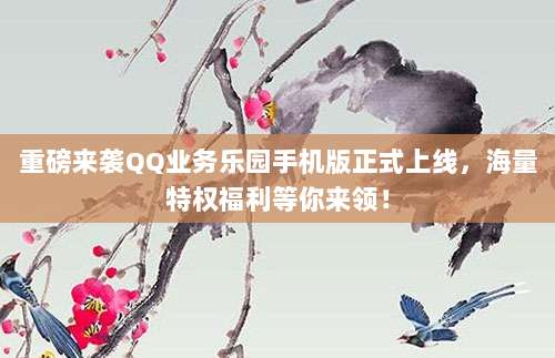 重磅来袭QQ业务乐园手机版正式上线,海量特权福利等你来领!