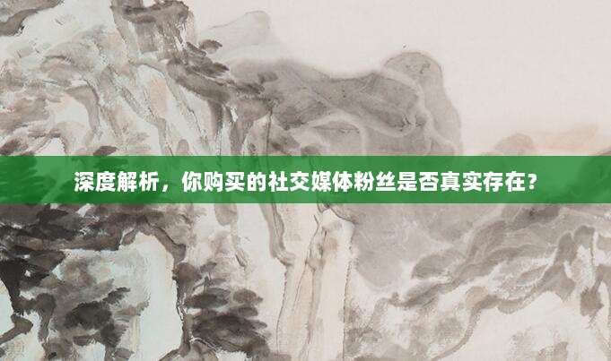 深度解析,你购买的社交媒体粉丝是否真实存在?