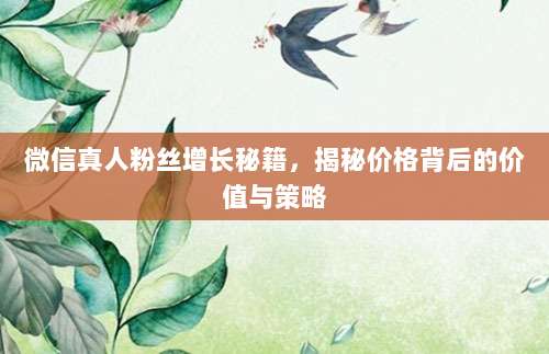 微信真人粉丝增长秘籍,揭秘价格背后的价值与策略