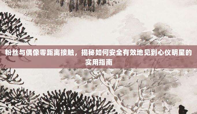 粉丝与偶像零距离接触,揭秘如何安全有效地见到心仪明星的实用指南