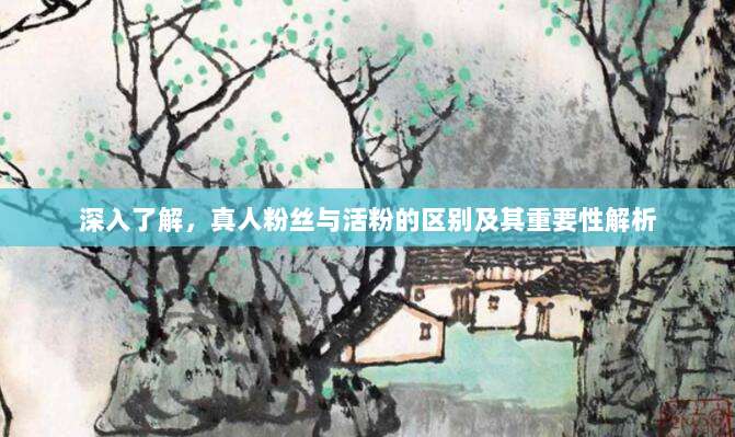 深入了解,真人粉丝与活粉的区别及其重要性解析