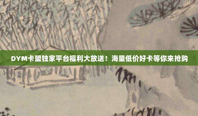 DYM卡盟独家平台福利大放送!海量低价好卡等你来抢购