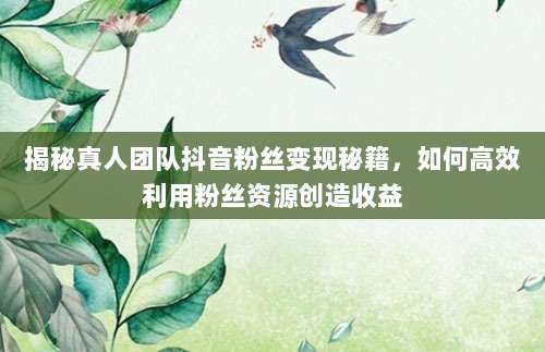 揭秘真人团队抖音粉丝变现秘籍,如何高效利用粉丝资源创造收益