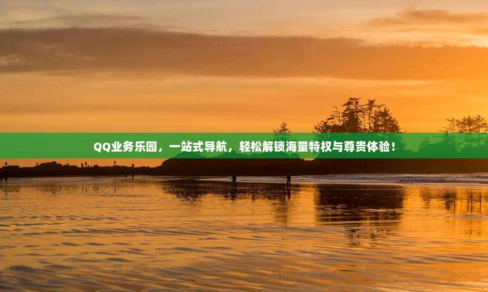 QQ业务乐园,一站式导航,轻松解锁海量特权与尊贵体验!