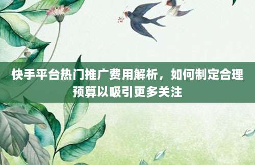 快手平台热门推广费用解析,如何制定合理预算以吸引更多关注