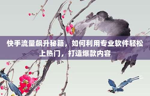 快手流量飙升秘籍,如何利用专业软件轻松上热门,打造爆款内容