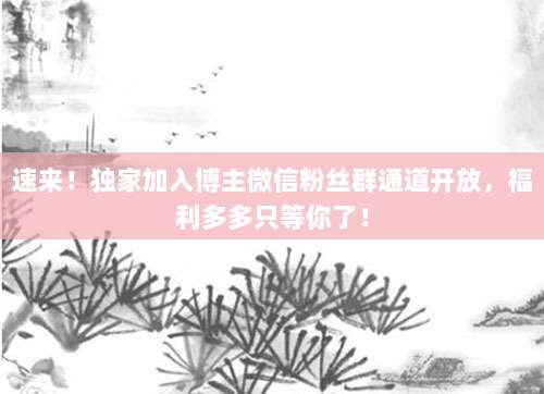 速来!独家加入博主微信粉丝群通道开放,福利多多只等你了!