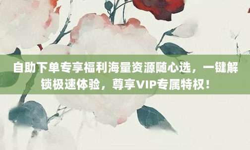自助下单专享福利海量资源随心选,一键解锁极速体验,尊享VIP专属特权!