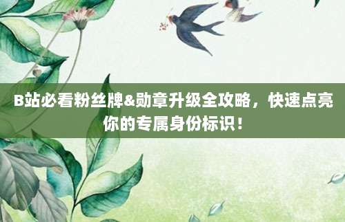 B站必看粉丝牌&勋章升级全攻略,快速点亮你的专属身份标识!