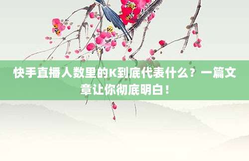 快手直播人数里的K到底代表什么?一篇文章让你彻底明白!