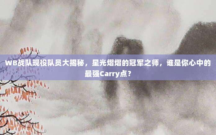 WB战队现役队员大揭秘,星光熠熠的冠军之师,谁是你心中的最强Carry点?
