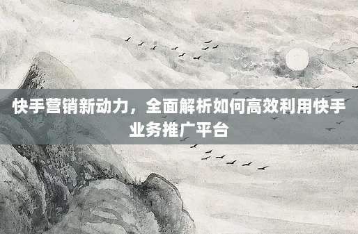 快手营销新动力，全面解析如何高效利用快手业务推广平台