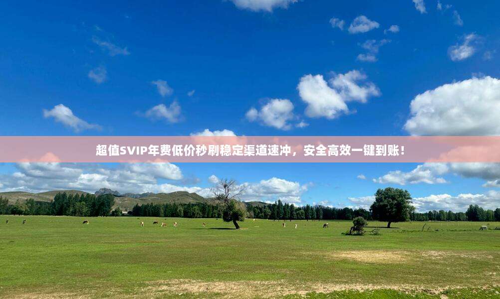 超值SVIP年费低价秒刷稳定渠道速冲,安全高效一键到账!