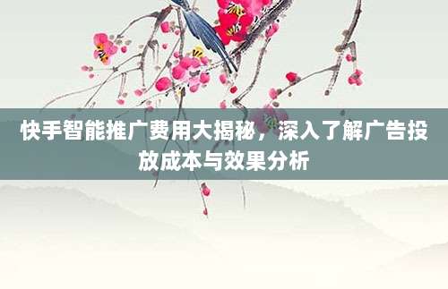 快手智能推广费用大揭秘,深入了解广告投放成本与效果分析