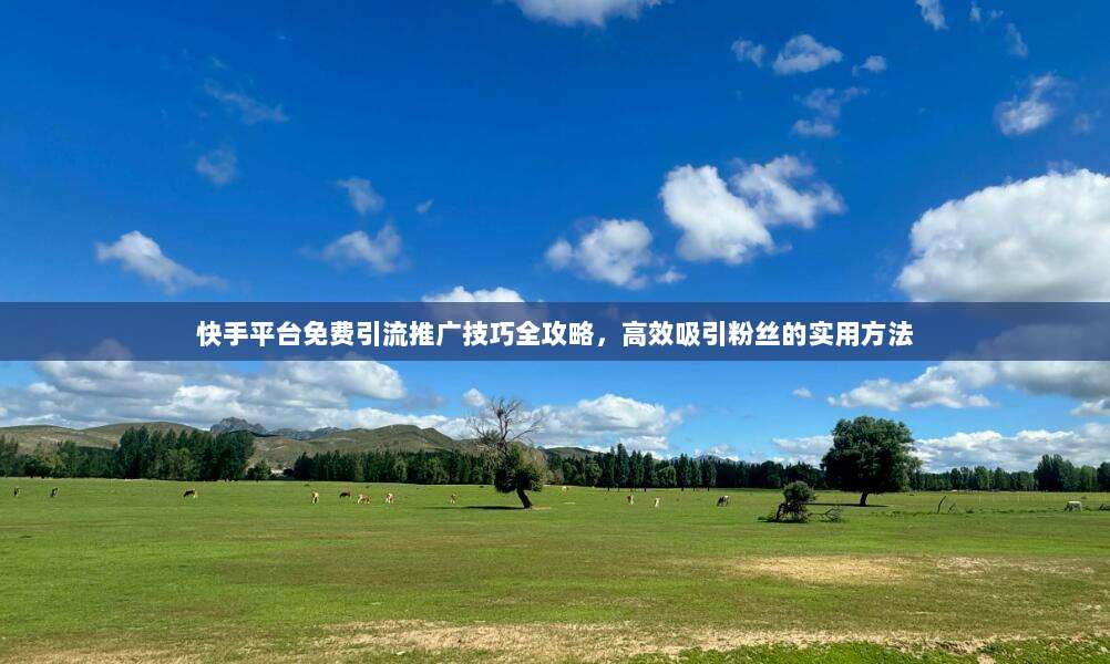 快手平台免费引流推广技巧全攻略,高效吸引粉丝的实用方法