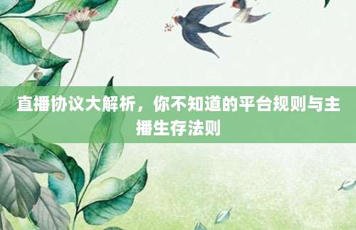 直播协议大解析,你不知道的平台规则与主播生存法则