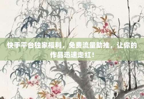 快手平台独家福利,免费流量助推,让你的作品迅速走红!