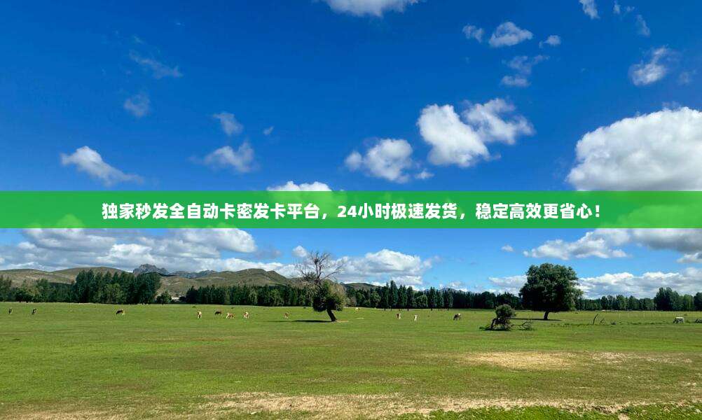 独家秒发全自动卡密发卡平台,24小时极速发货,稳定高效更省心!