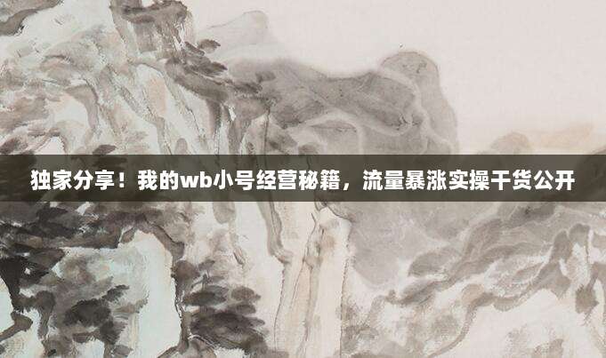 独家分享!我的wb小号经营秘籍,流量暴涨实操干货公开