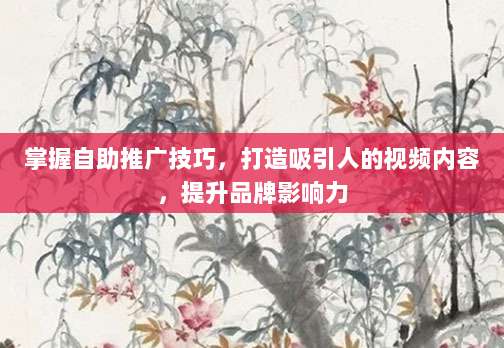 掌握自助推广技巧,打造吸引人的视频内容,提升品牌影响力