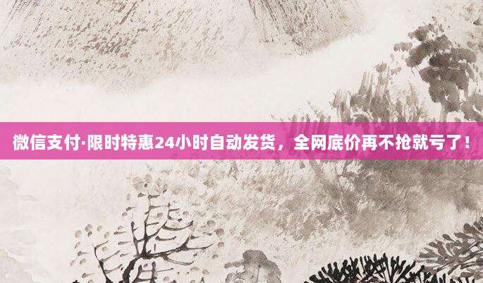 微信支付·限时特惠24小时自动发货,全网底价再不抢就亏了!