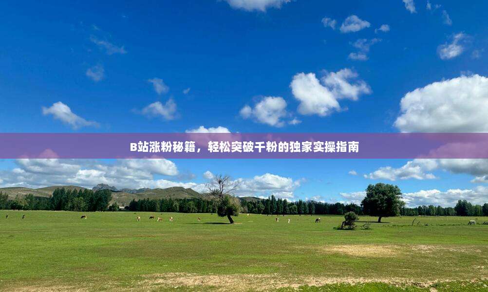 B站涨粉秘籍,轻松突破千粉的独家实操指南