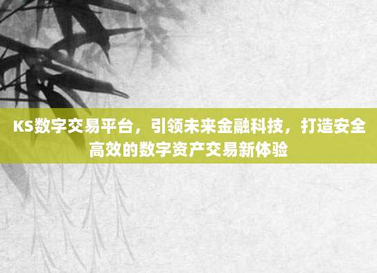 KS数字交易平台,引领未来金融科技,打造安全高效的数字资产交易新体验
