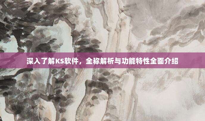 深入了解KS软件,全称解析与功能特性全面介绍