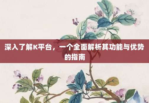 深入了解K平台，一个全面解析其功能与优势的指南
