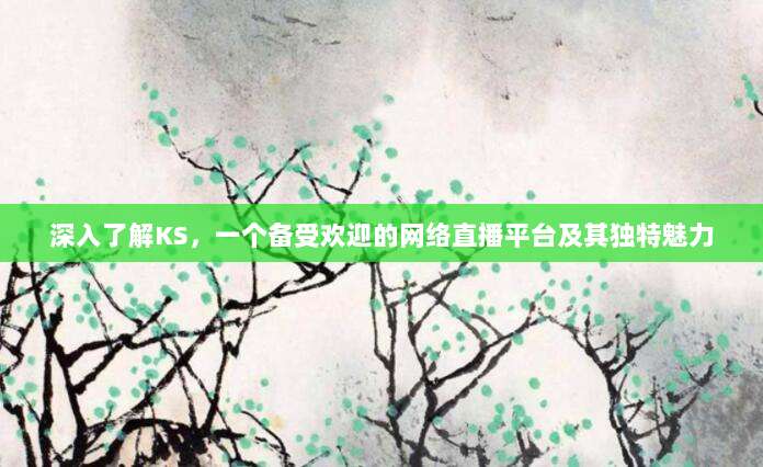 深入了解KS，一个备受欢迎的网络直播平台及其独特魅力