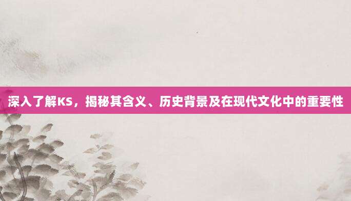 深入了解KS，揭秘其含义、历史背景及在现代文化中的重要性