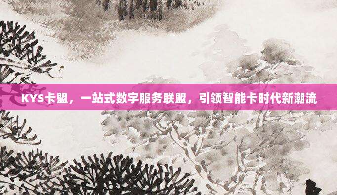 KYS卡盟,一站式数字服务联盟,引领智能卡时代新潮流