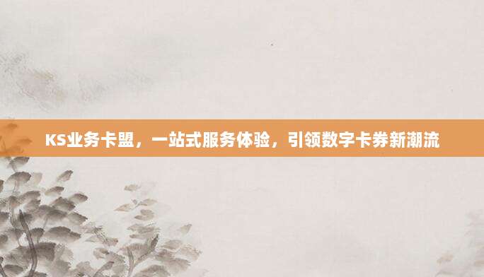 KS业务卡盟,一站式服务体验,引领数字卡券新潮流