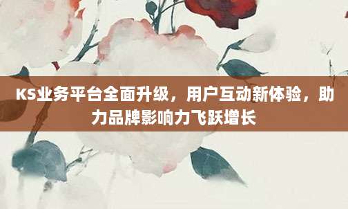 KS业务平台全面升级，用户互动新体验，助力品牌影响力飞跃增长
