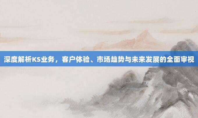 深度解析KS业务,客户体验、市场趋势与未来发展的全面审视